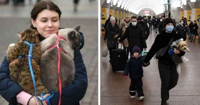 Des photos déchirantes montrent des Ukrainiens fuyant leur pays avec leurs animaux de compagnie