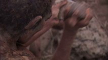 Homo Sapiens soll in Europa mit Neandertalern zusammengelebt haben