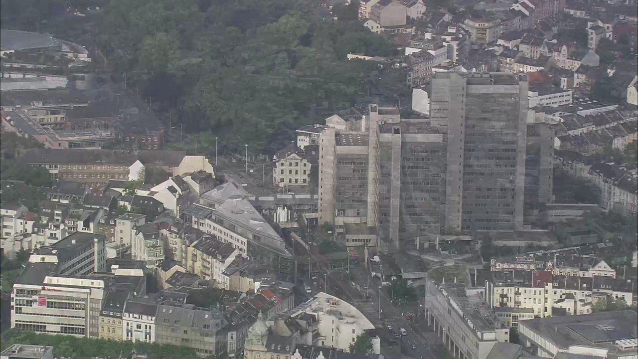 Katzenbaby in Mülltonne am Spielplatz gefunden: Sein Anblick ist erschütternd