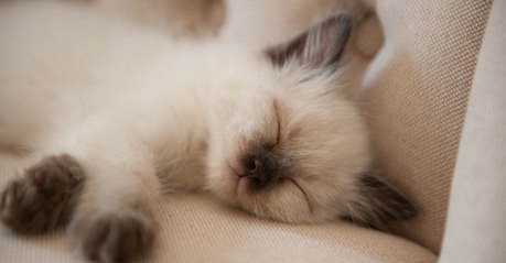 Top 10 des solutions pour s'endormir rapidement (scientifiquement prouvées)