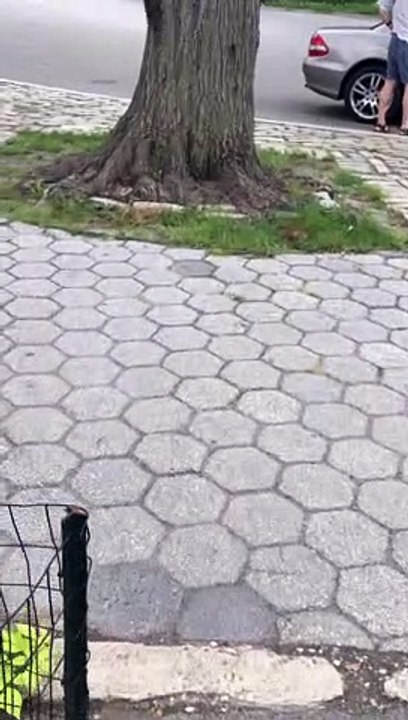 Video 121