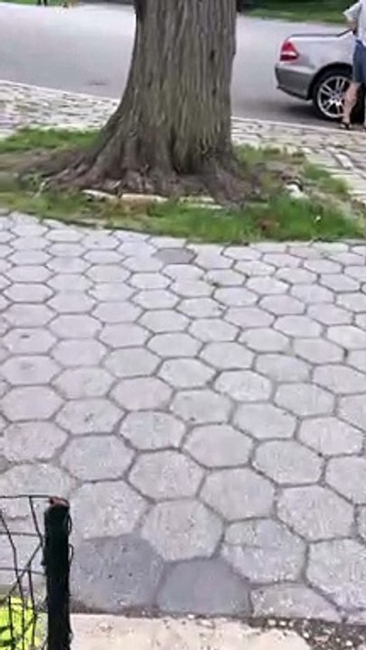 Video 128