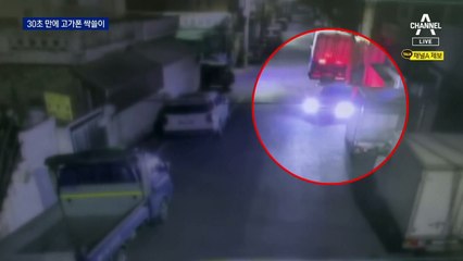 차로 가게 부수고…30초 만에 1천만 원어치 폰 ‘쏙쏙’