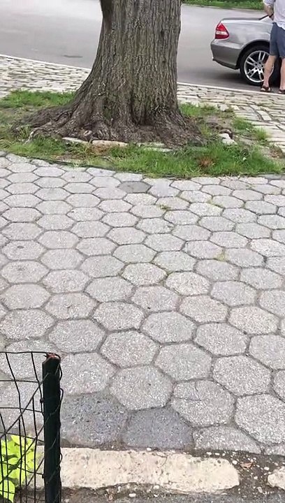 Video 175