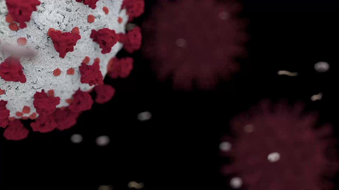 Corona-Ansteckung im Mutterleib? Antikörper in Baby nachgewiesen