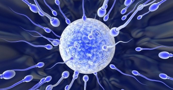 Contraception masculine : un gel contraceptif pour hommes bientôt testé aux Etats-Unis