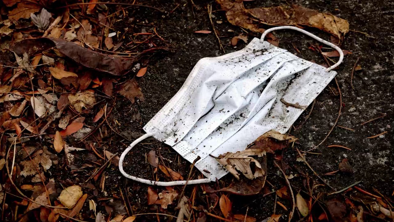 Hund verschluckt Einweg-Maske, dann reagiert die Besitzerin ganz schnell