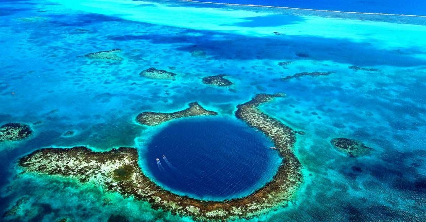 Découvrez 6 sites marins uniques au monde classés au Patrimoine mondial de l'UNESCO