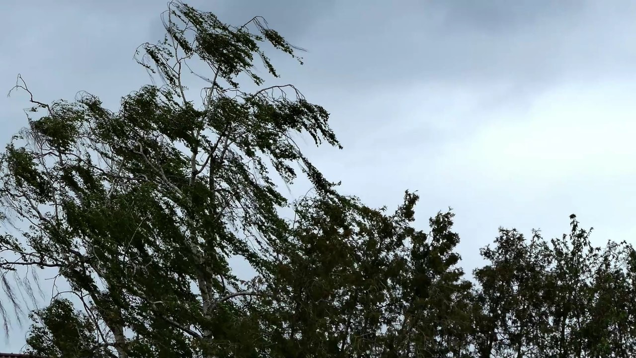 'Bleiben Sie zu Hause': Orkan trifft Deutschland mit 152 km/h, neuer Extremsturm kommt am Wochenende