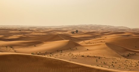Les plus anciennes couleurs terrestres découvertes au Sahara