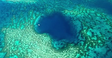 Un impressionnant "trou bleu" repéré au cœur de la Grande barrière de corail