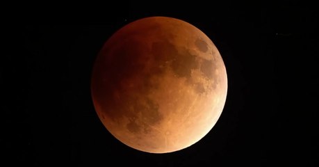 "Super lune bleue de sang" : les plus belles images du phénomène prises à travers le monde