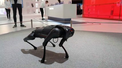 Xiaomi CyberDog