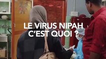 Virus Nipah : tout savoir sur cette infection à 70% de mortalité qui terrorise l'Inde