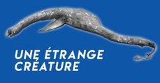 Dans l'état de Géorgie, une étrange créature échouée rappelle le monstre du Loch Ness