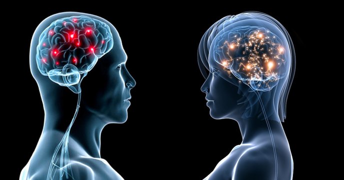 Cerveau : les 4 idées reçues que vous ne devez plus croire sur les différences entre hommes et femmes