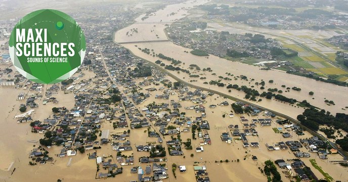Araignées, loups et sonde spatiale, les 8 actus sciences que vous devez connaître ce 7 juillet