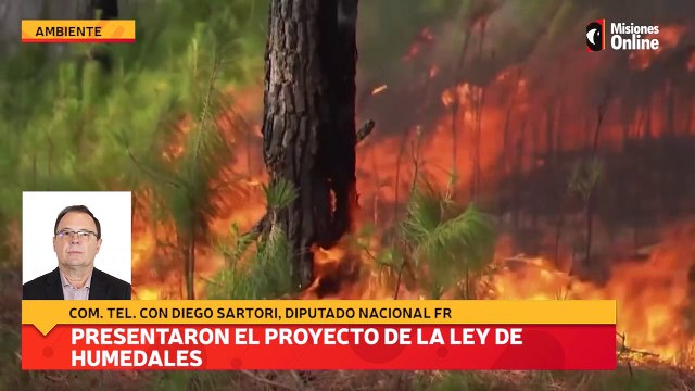 Presentaron el proyecto de la Ley de Humedales