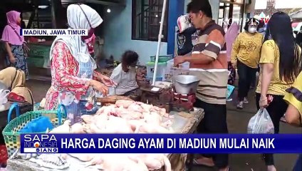 Mulai Naiknya Harga Ayam, Minat Pembeli Terpantau Masih Normal