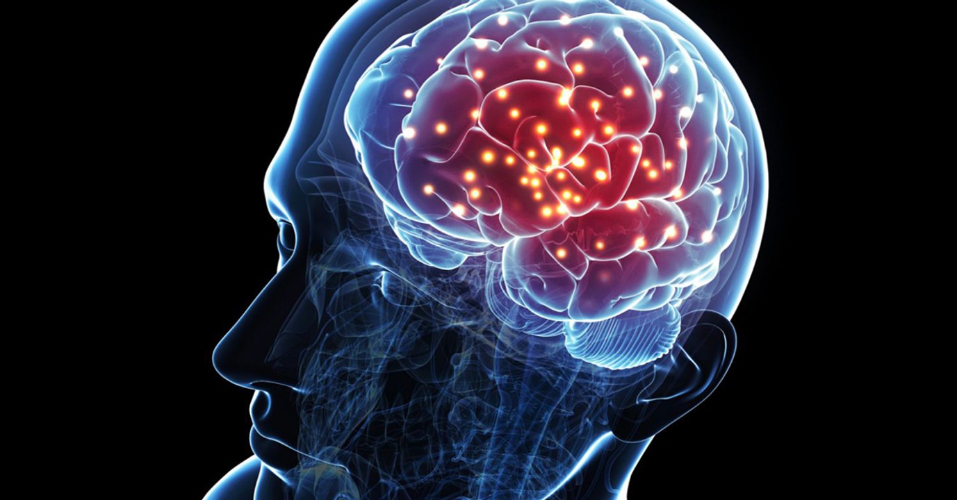 Voici pourquoi le cerveau humain serait devenu aussi gros selon une nouvelle étude