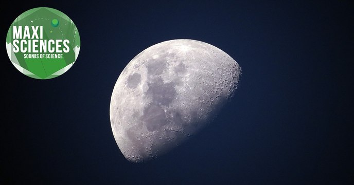 Drone, colonie lunaire et combat de lion, les 8 actus sciences que vous devez connaître ce 3 décembre