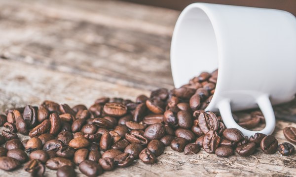 Le café en danger : 60 % de ses espèces sont menacées d’extinction