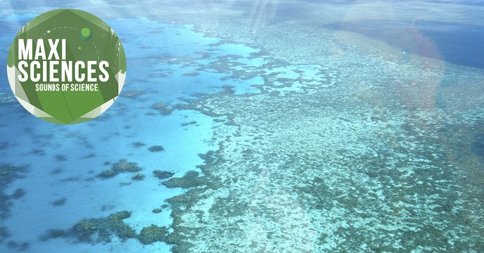 Neandertal, poterie antique et fossile de serpent, les 8 actus sciences que vous devez connaitre ce 21 juillet