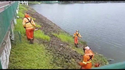 Clube de Regatas Cascavel realiza limpeza no Lago Municipal