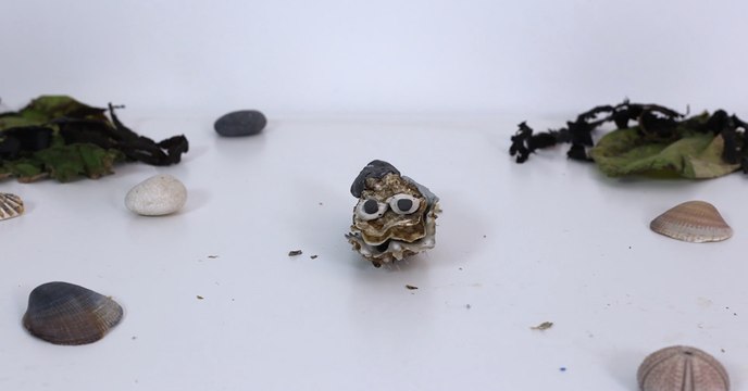 Pariscience : découvrez le court métrage Réchauffement climathuître, lauréat du concours Symbiose