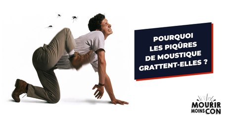 Pourquoi les piqûres de moustiques grattent-elles ?