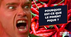 Pourquoi est-ce que les piments piquent ?