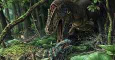 Le Dynamoterror, un cousin du T. rex vieux de 80 millions d'années découvert au Nouveau-Mexique
