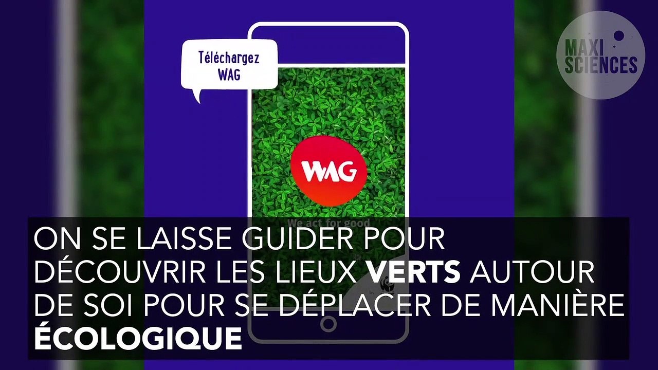 Écologie : 4 applications gratuites pour se mettre au vert