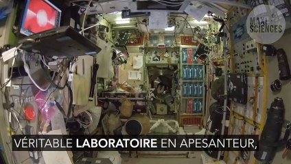 ISS : La Station spatiale internationale envahie par les bactéries et les champignons