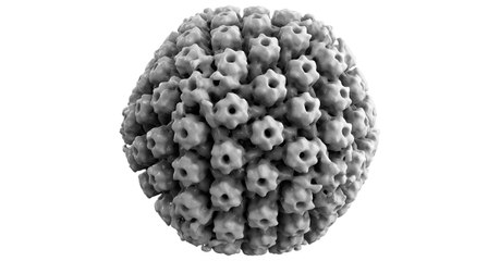 Maladie d'Alzheimer : un lien établi avec le virus de l'herpès