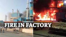 Massive Fire Breaks Out In Factory In Odisha