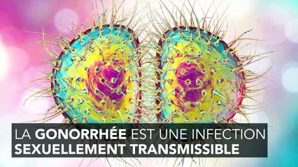 Gonorrhée : cette maladie pourrait aussi se transmettre par un baiser