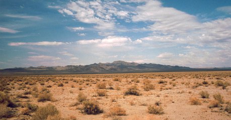 La Terre a perdu la plupart de ses contrées sauvages et nous devons protéger ce qui reste