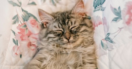 Sommeil : comment lutter contre la fatigue ?
