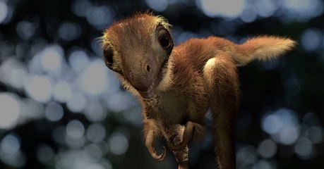 Voici à quoi auraient pu ressembler les bébés T. rex