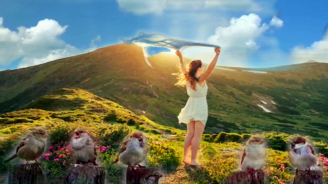 Enjoy nature with charming music and feel relaxed & stress free | Morning wake up music