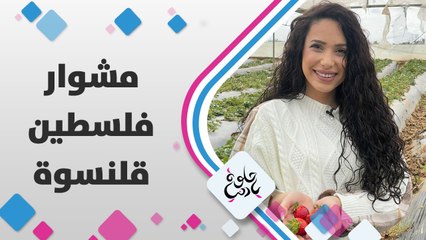 موسم الفراولة وشاورما الزرب في مشوار يارا أبوهلال إلى #قلنسوة