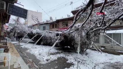 KAR AĞIRLIĞINA DAYAMAYAN ASMA AĞAÇLARI VE DEMİR KORKULUKLAR ÇÖKTÜ