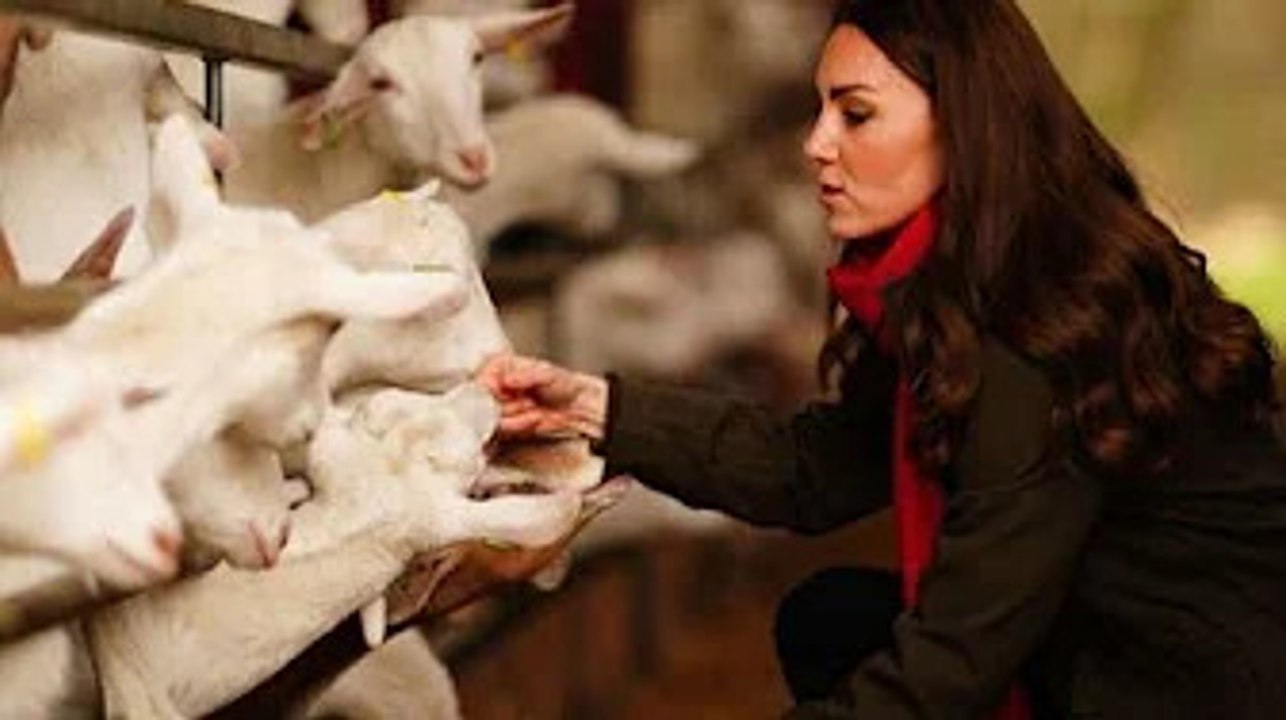 The Duke and Duchess of Cambridge in an adoring visit to a goat farm in South Wales