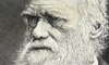 Darwin Day : 3 choses insolites que vous ne saviez (peut-être) pas sur Charles Darwin