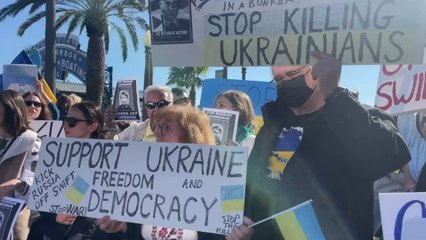 War in Ukraine: These images show how thousands of pets are suffering