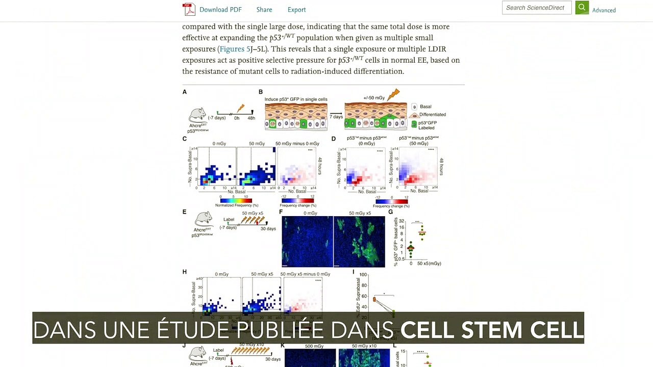 Seulement trois examens au scanner suffiraient à augmenter les risques de cancer