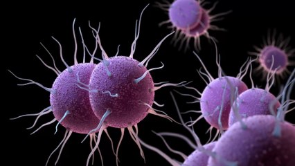 Gonorrhoea: More cases of antibiotic-resistant strain identified in England