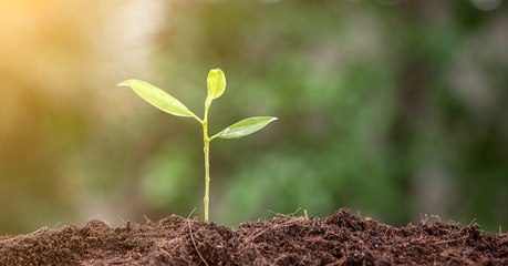 Réchauffement climatique : le rapport du GIEC alerte sur la dégradation de nos terres