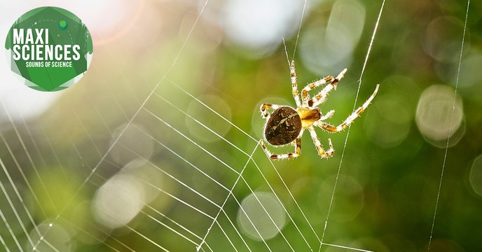 Lapins, planète et réchauffement climatique, les actus sciences que vous devez connaître ce 21 août